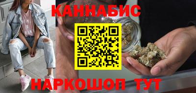 шишки Дубна