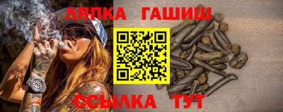 прущие грибы Гусиноозёрск