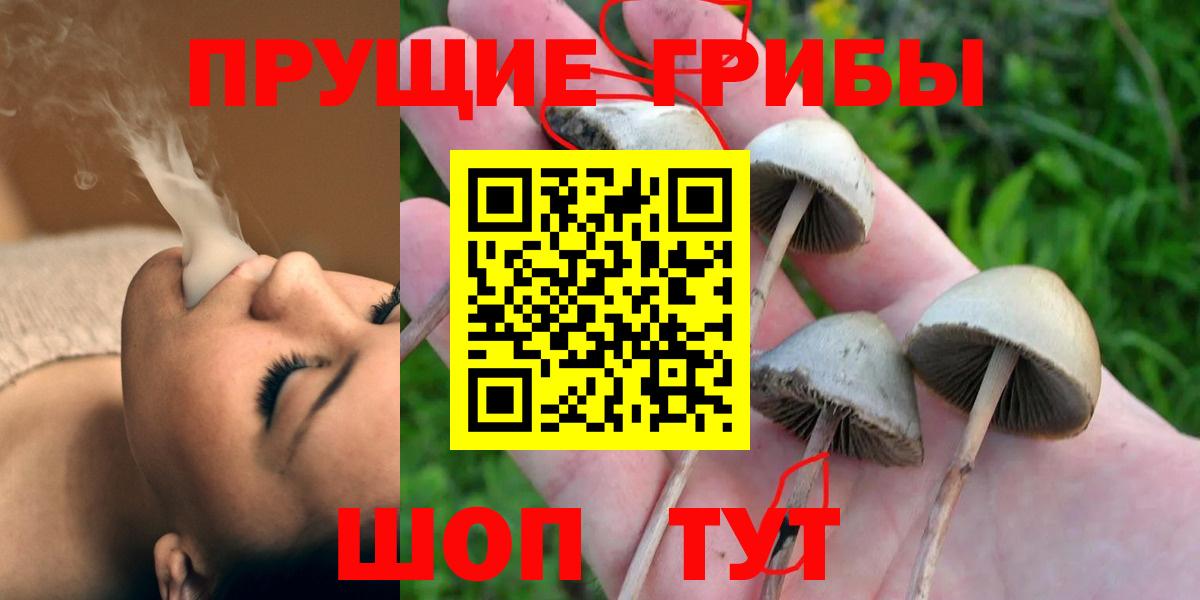 Галлюциногенные грибы Psilocybine cubensis  Вход с VPN  Верхняя Салда  Галлюциногенные грибы MAGIC MUSHROOMS 